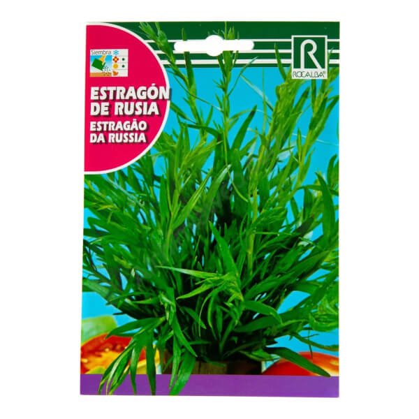 rocalba-russian-tarragon-02g.jpg Rocalba Russian Tarragon - Image 1
