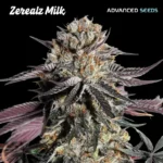 Zerealz Milk Feminized By Advanced Seeds